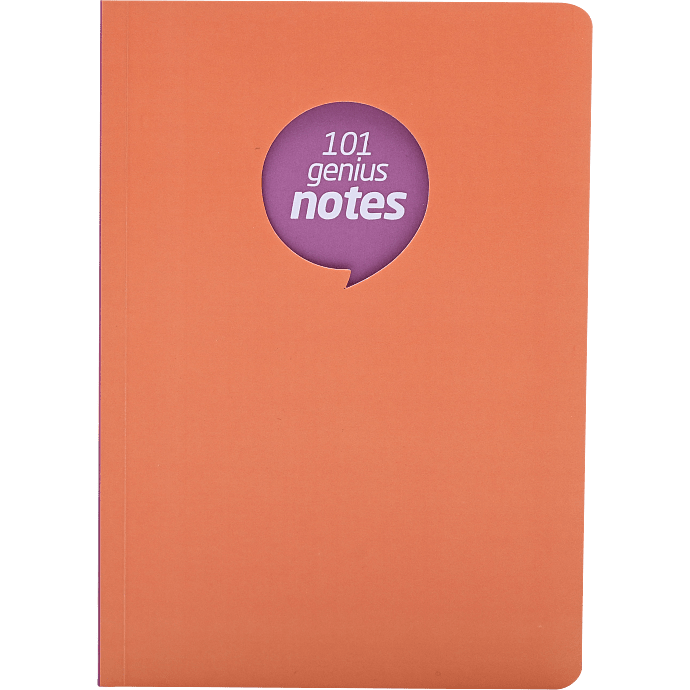 Danpen notespen A5 mat finish - citat 3