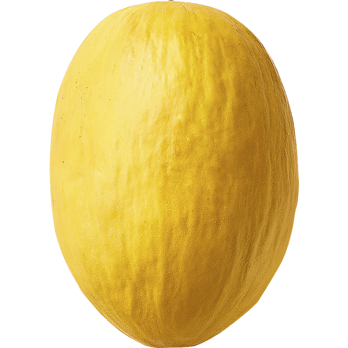 Gul honningmelon