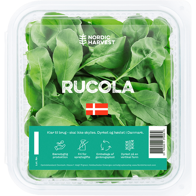 Baby Rucola