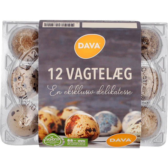 Vagtelæg