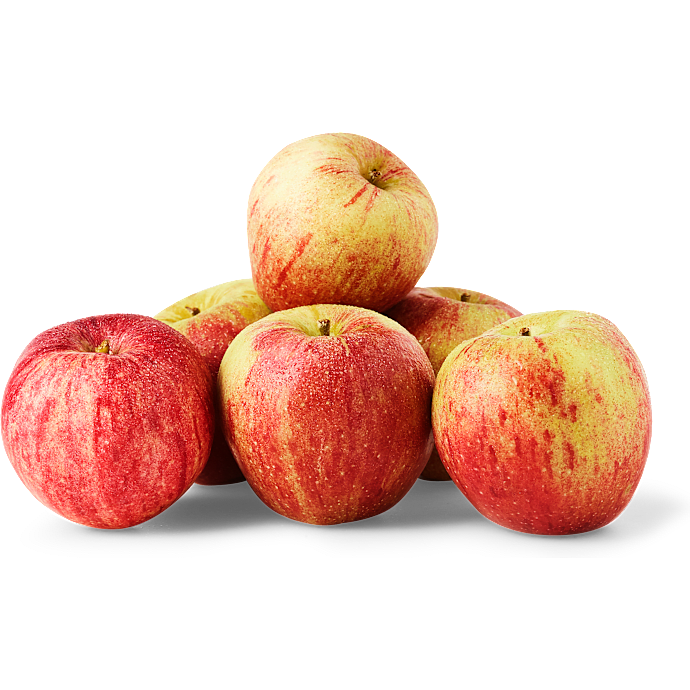 Æbler