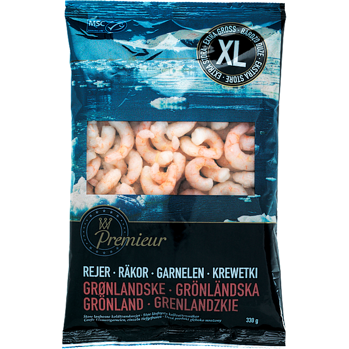 Rejer XL