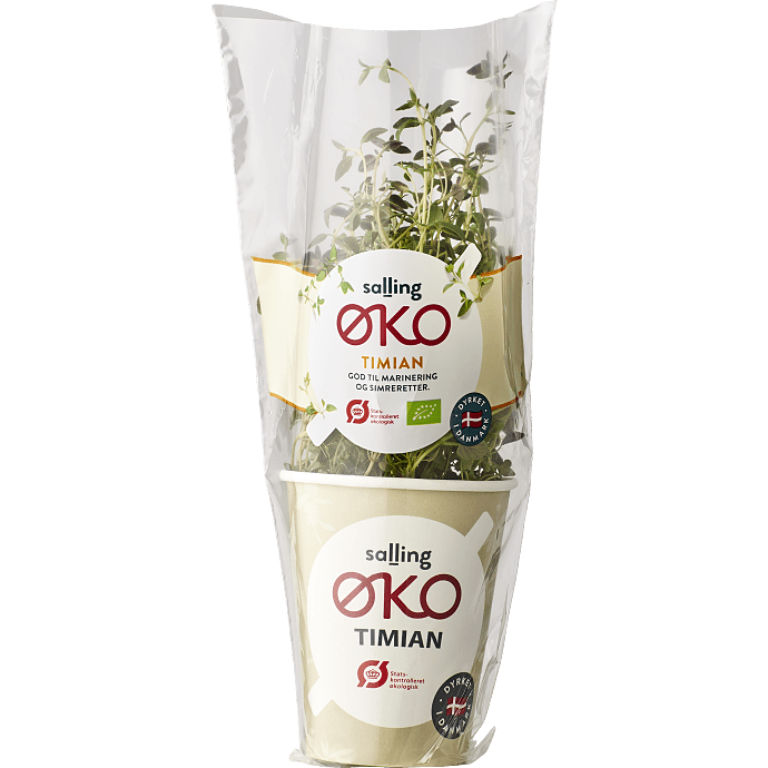 Timian øko