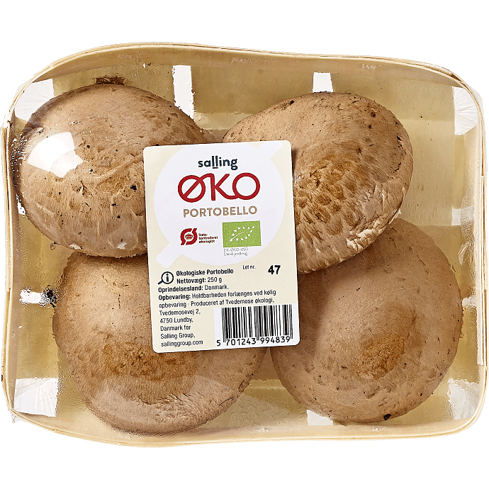 Portobello svampe øko