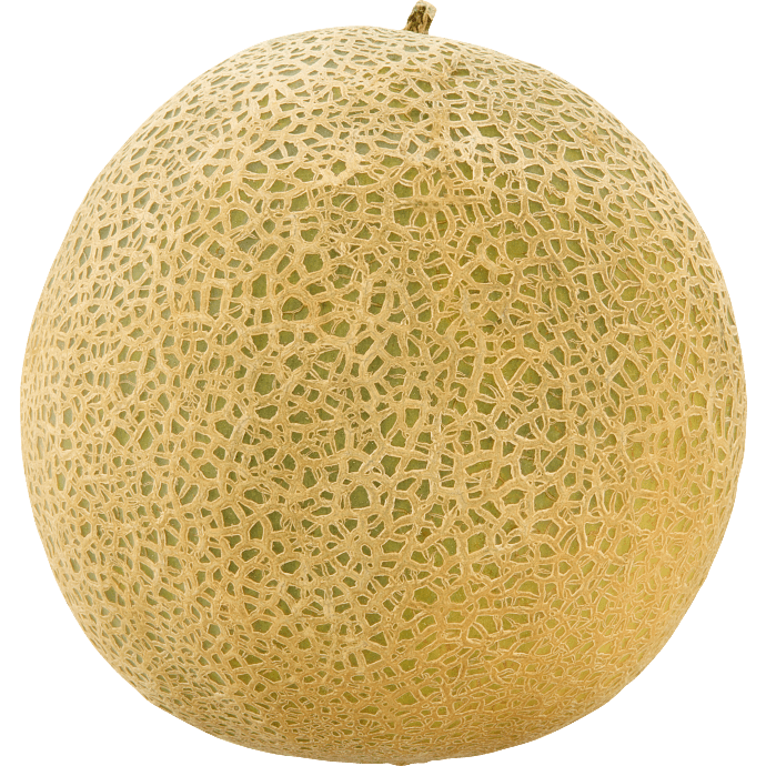 Cantaloupmelon