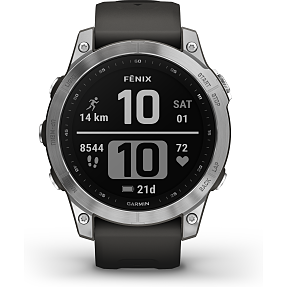 Fenix 7 Silver/Graphite Smart Watches