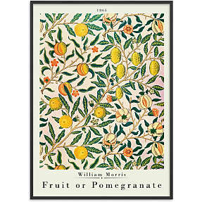Fruit or pomegranate, W. M. - 70x100 cm