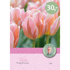 Claus Dalby tulipan Pretty Princess 7 løg
