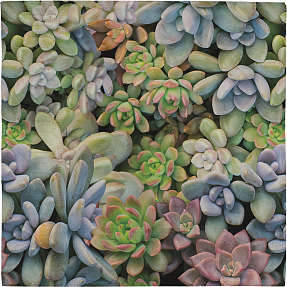 Mønstrede servietter 33x33 cm 20-pak