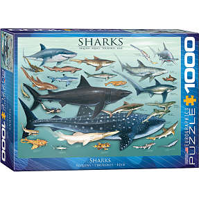 Puslespil Sharks - 1000 brikker