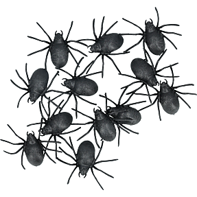 Halloween edderkoppper 8x5 cm 12 pak - sort