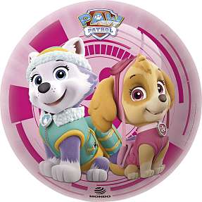 Paw Patrol bold