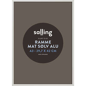 Mat sølv ramme m. glas - 29,7x42 cm