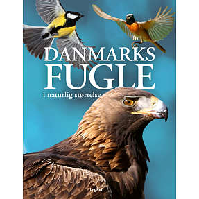 Danmarks fugle - Nancy J. Hajeski
