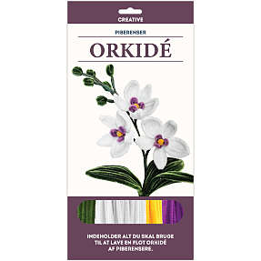 1conzept piberenserblomst - orkide