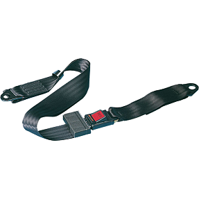 Securon 2-pkt bagsædesele 160 cm