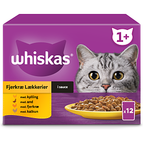 Vådfoder i sovs m. kylling, and, kalkun og fjerkræ
