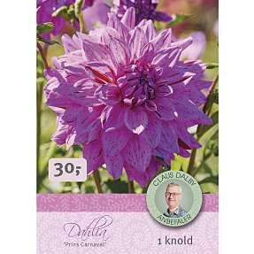 Claus Dalby Dahlia Prins Carnaval