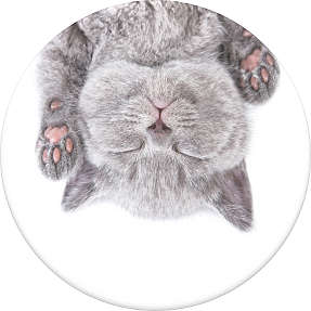 PopSockets - Cat Nap