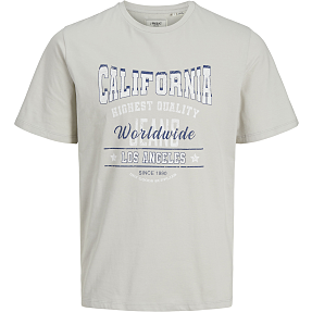 Produkt herre T-shirt str. L - lysegrå
