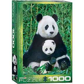 Puslespil Panda & Baby - 1000 brikker