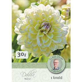 Claus Dalby Dahlia Matrix