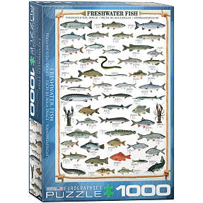 Puslespil Freshwater Fish - 1000 brikker