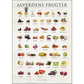 Alverdens frugter - 30x40 cm