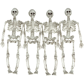Halloween små skeletter 14 cm 4 pak - hvid
