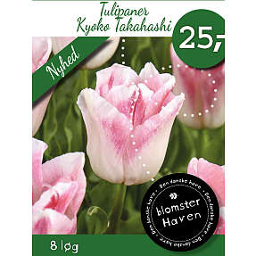 Blomsterhaven tulipanløg Kyoko Takahashi