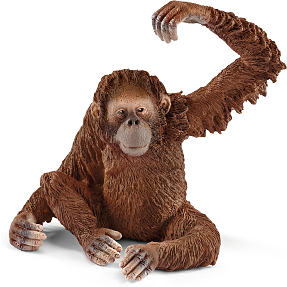 Schleich Orangutang hun 14775