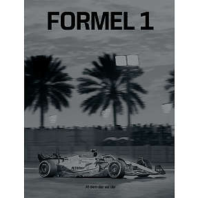 Formel 1 - Peter Nygaard