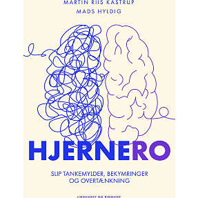 Hjernero - Martin Riis Kastrup og Mads Hyldig