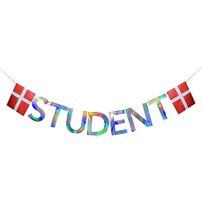 Guirlande student m. dansk flag 4 m - sølv