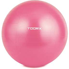 hærge enorm efter det Toorx Gym bold 55 cm inkl. pumpe | Køb på Bilka.dk!