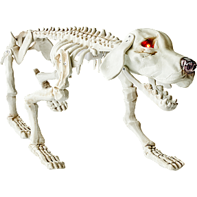 Halloween skelet hund 28x74 cm - hvid