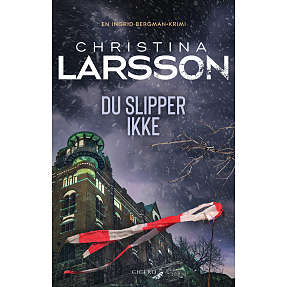 Du slipper ikke - Christina Larsson