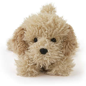 FAO Schwarz Cockapoo bamse