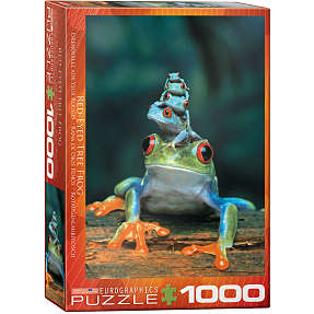 Puslespil Red-Eyed Tree Frog - 1000 brikker