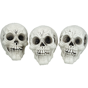 Halloween kranier 12x16 cm 3 pak - hvid