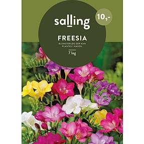 Løgplante - freesia mix