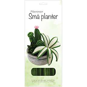 Piberenser DIY - små planter