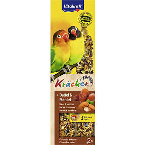 Fuglesnacks dværgpapegøje