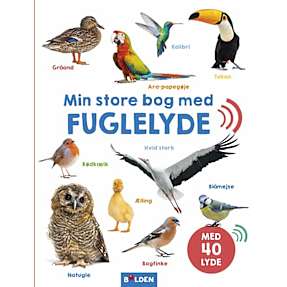 Min store bog med fuglelyde
