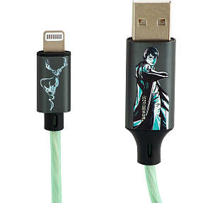 USB A-MFI stik 1,2 meter - Harry Potter