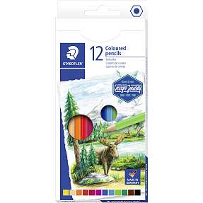 Staedtler farveblyant 12 stk. - assorterede farver