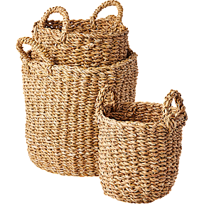 Fletkurve i søgræs