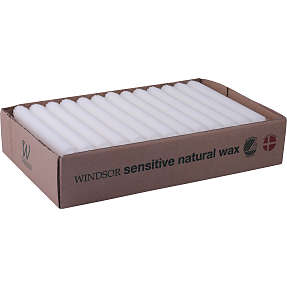 Windsor kronelys 2,2x20 cm 40-pak - hvid