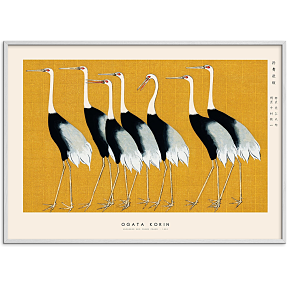 Japanese Red Crown Crane - 50x70 cm