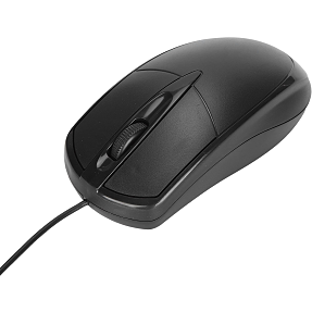 Nohro computermus - sort